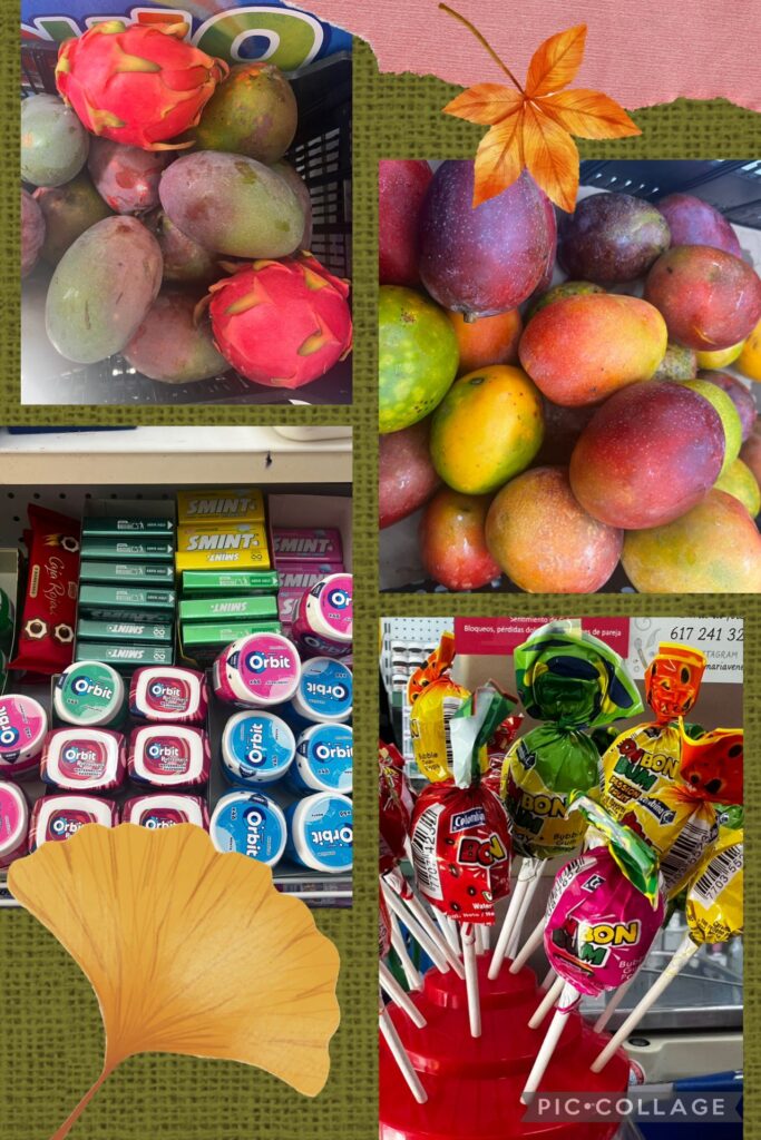 whatsapp image 2025 12 08 at 12.44.56